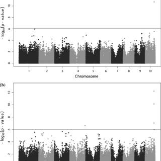 Manhattan Plots From The Genome Wide Association Study Showing