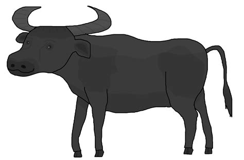 Carabao By Jktva2k6 By Jeffthevyondanimator On Deviantart