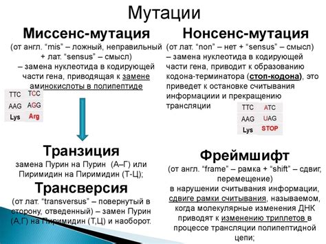 Мутационная изменчивость. 10 класс - презентация онлайн