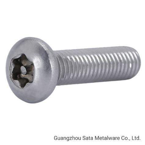 Stainless Steel Hexalobular Socket Torx Pin In Head Security Screws