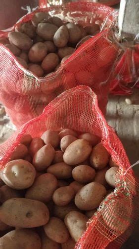 Yellow A Grade Potato Chipsona Packaging Size 50 Kg At Rs 750bag In Shahjahanpur