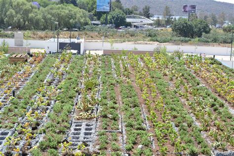 Azoteas Verdes Modulares Jardines Verticales Y Azoteas Verdes