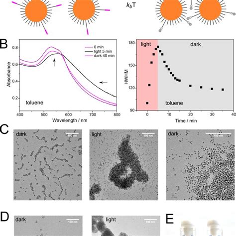 Light Induced Reversible Self Assembly Of Gold Nps Covered With A