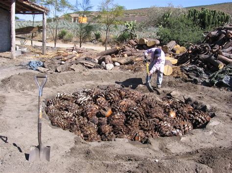 Eating Chilean: Curanto: Chiloé’s ancient “clambake”