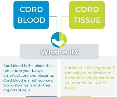 Do You Know The Difference Between Cord Blood And Cord Tissue Cells