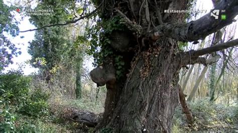 Burosque un bosque encantado Canal ASG Aragón Sostenible CARTV