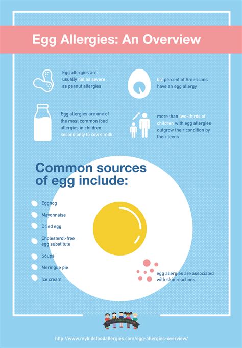 Egg Alergies An Overview