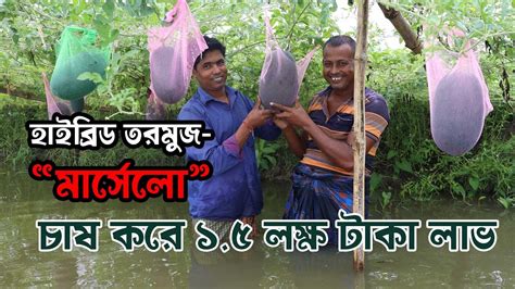 হাইব্রিড তরমুজ মার্সেলো চাষ করে দেড় লক্ষ টাকা লাভ Youtube