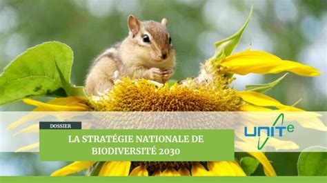 Photovoltaïque Et Stratégie Nationale Biodiversité 2030 Unite