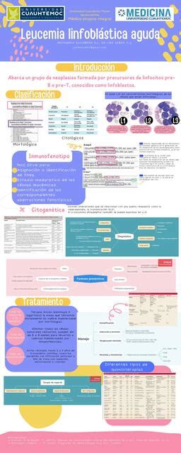 Leucemia Linfobl Stica Aguda Yarenzy Guadalupe De Lira Serna Udocz