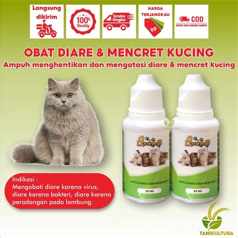 Jual Obat Diare Mencret Kucing Kitten Paling Ampuh Anti Diare Dan