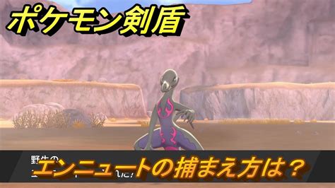 ポケモン剣盾 エンニュートを捕まえる方法！オススメの場所は？天気は？ポケモン図鑑コンプへの道！ 最新版【ポケモンソード・シールド】 Youtube