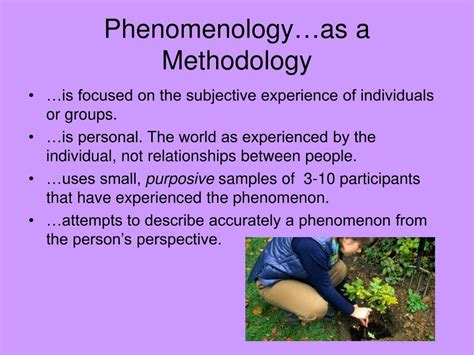 Ppt Phenomenology The Lived Experience Powerpoint Presentation Id