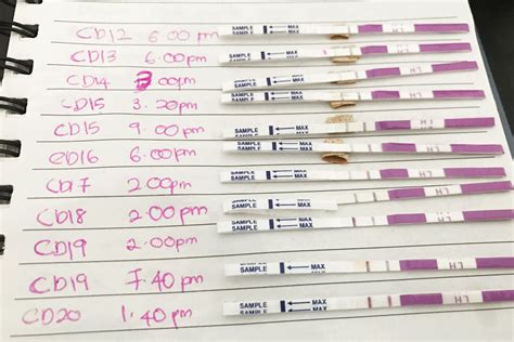 What Does a Positive Ovulation Test Look Like? See Examples