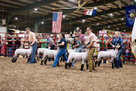 Come One Come All To The Greene County Fair Visit Greene County