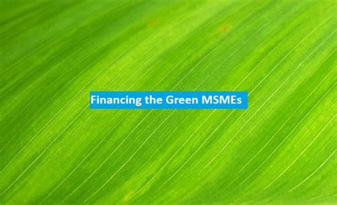 Financing The Green Msmes