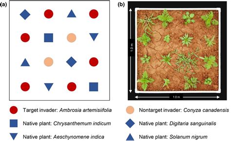 Researchers Reveal Dynamics And Potential Mechanisms Of Secondary