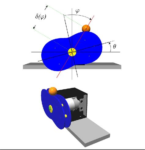 The Butterfly System Front And Side Views Download Scientific Diagram