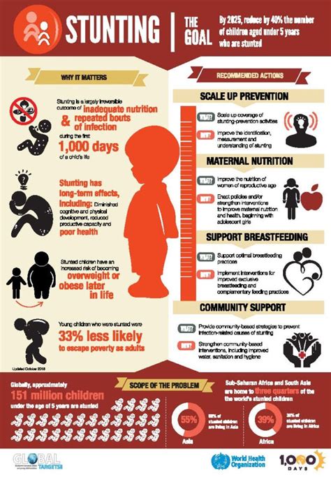 Stunting Infographic 1000 Days