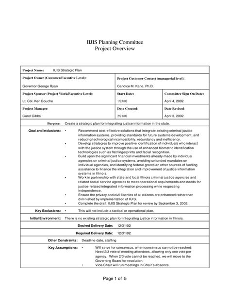 2025 project overview template