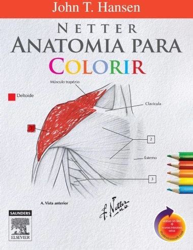 Netter Anatomia Para Colorir