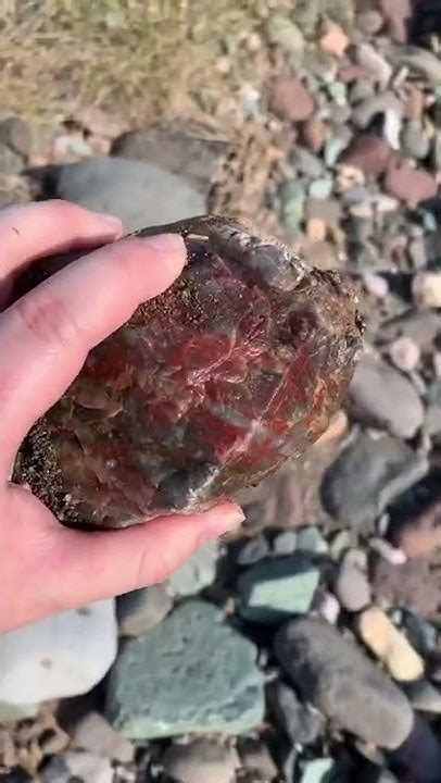 I Found My Largest Agate Ever 💎 Youtube