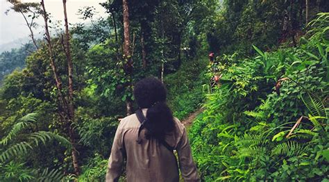 forest hike yelbong adventure