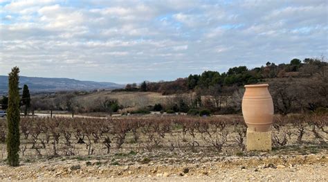 Domaine Viret | Rosenthal Wine Merchant