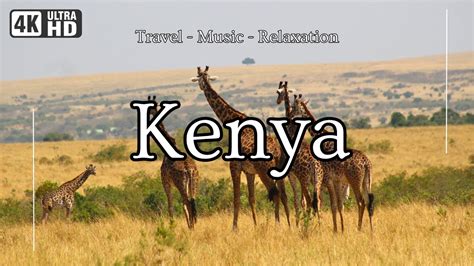 Exploring Kenya Wildlife Safari Mount Kilimanjaro Adventure With