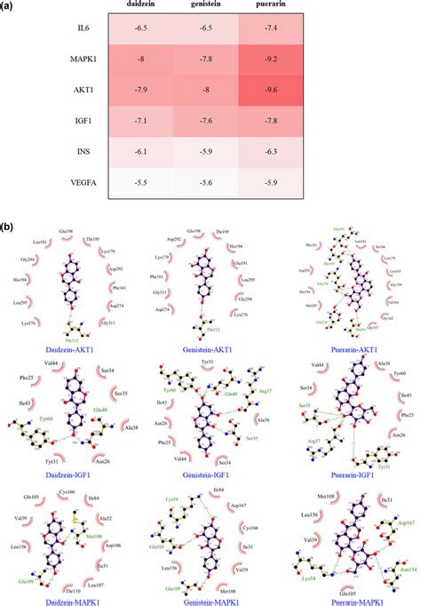 Validation Of Molecular Docking A Molecule Docking Heat Map Of The