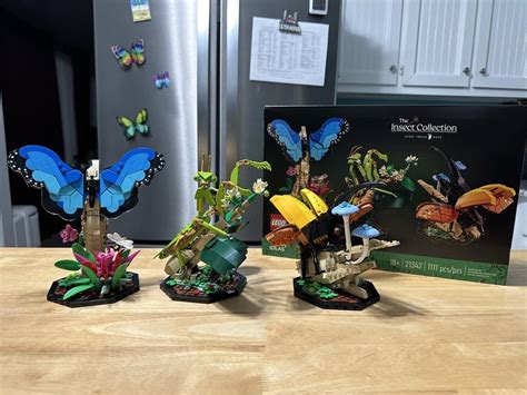 Lego Ideas Insect Collection Kit 21342 Buildable Models Of Blue Morpho