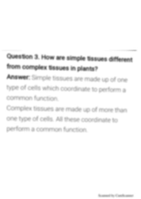 SOLUTION How Are Simple Tissue Different From Complex Tissues In