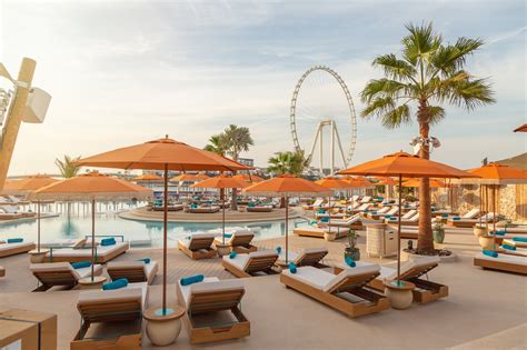 Bla Bla Beach Club | Our Work | Shajara Artificial Plants