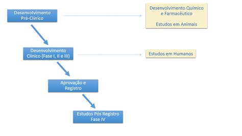 Health by Noce Conheça o caminho que um medicamento percorre até