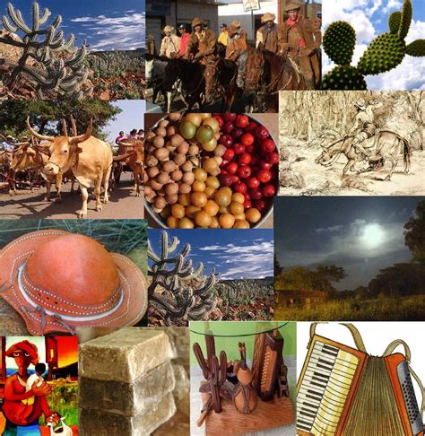 Cultura Do Sertão Nordestino - Sertão Brasileiro | Economia e Cultura do Sertão do Nordeste Brasileiro