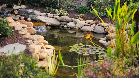 How To Build A Small Backyard Pond