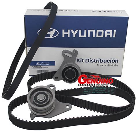 puramente válvula Significativo correa de distribucion hyundai h100