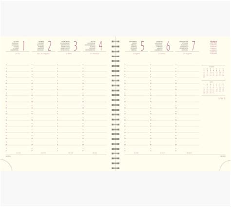 Exacompta Agenda de bureau SAD 18S Méline 15 x 17 cm Semainier