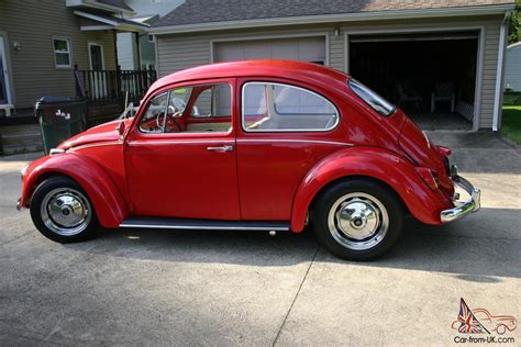 Volkswagen Vw Beetle Bug