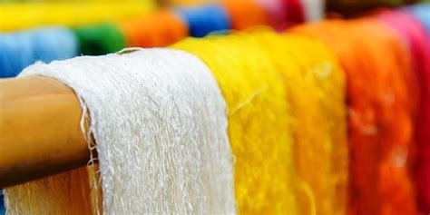 Punjab's new scheme is all set to boost silk production in the state ...