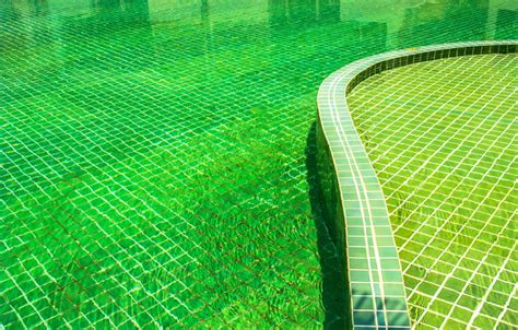 How To Clear Green Pool Water Step By Step Guide Hausette