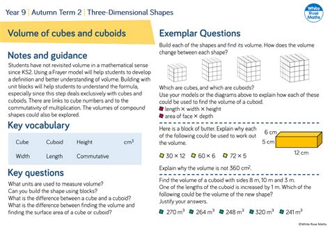 Volume Of Cubes And Cuboids Questions Maths