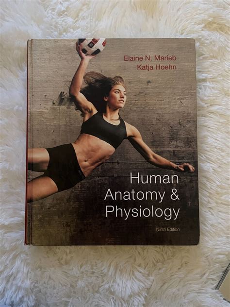 Human Anatomy And Physiology By Katja N Hoehn And Elaine N Marieb 2012 9780321743268 Ebay