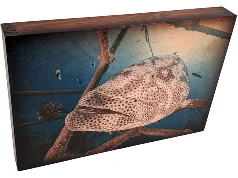 Goliath Grouper Handcrafted Wall Art Relic Wood