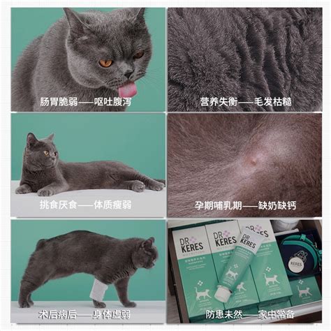 凯锐思宠物幼猫成猫猫咪营养膏猫专用防脱毛化毛增肥增强免疫力虎窝淘