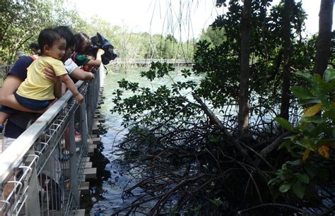 Adventures With The Naked Hermit Crabs Dec Sun Free Guided Walk