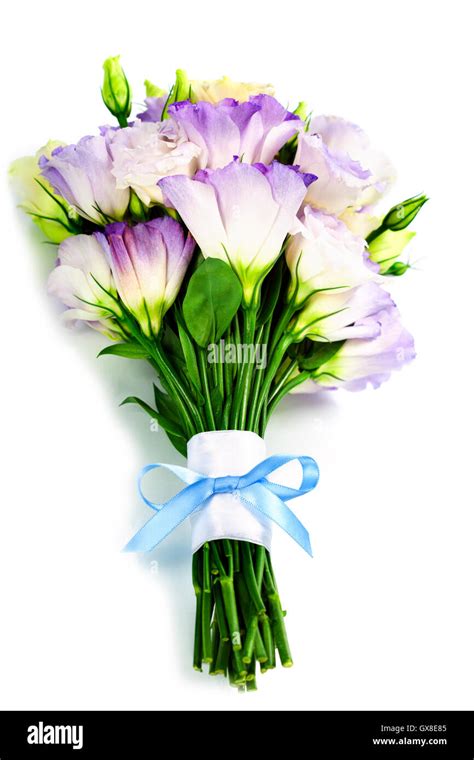 Beautiful eustoma flowers bouquet Stock Photo - Alamy