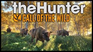 TheHunter: Call Of The Wild Cheats, Cheat Codes, Hints and Walkthroughs for Playstation 4