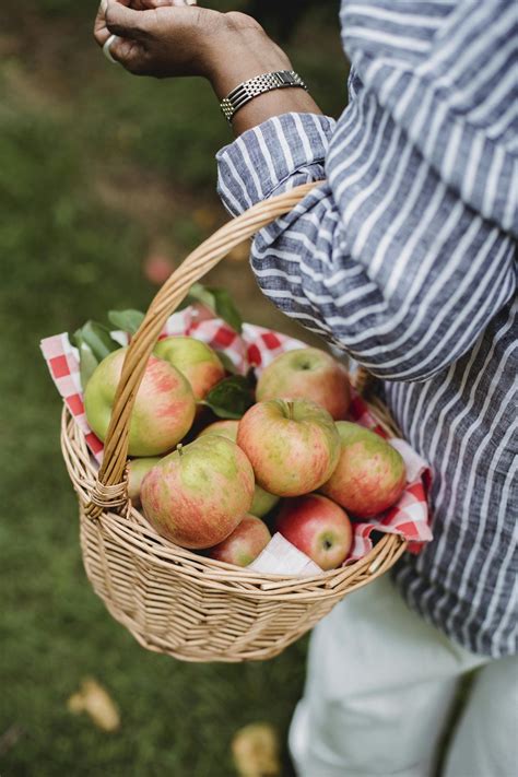 Apple Picking In Virginia A Complete Guide The Wandering Afro Travel