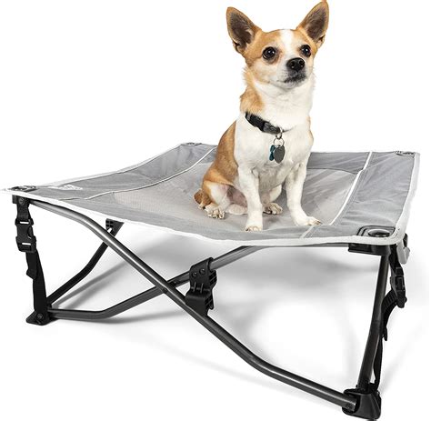 10 Best Elevated Dog Beds